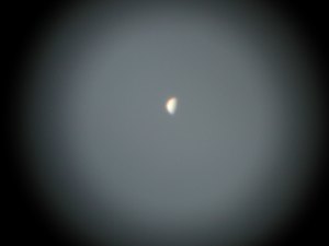 Venus